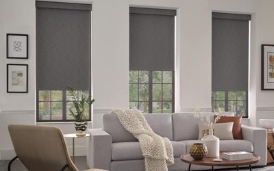 Dual-Shade Systems Reno NV | Extreme Temp Control