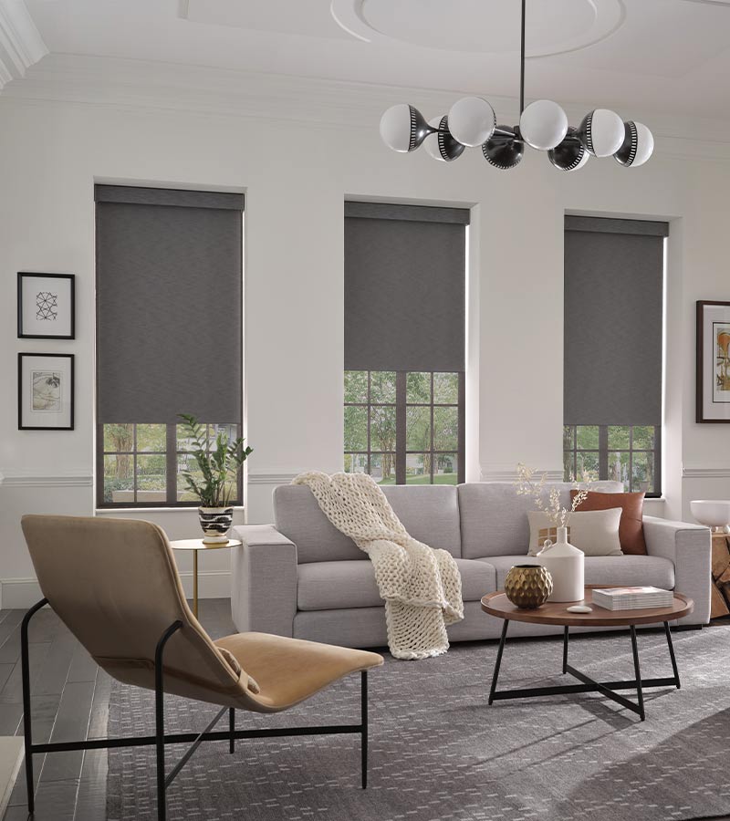 Dual-Shade Systems Reno NV